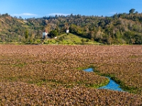 Tenango de las Flores